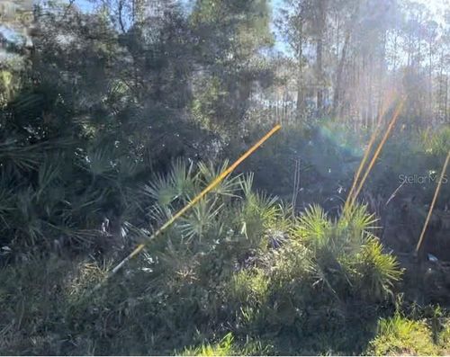 1645 11th Ave, DELAND, FL, 32724-3152 | Card Image