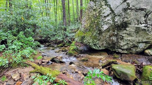 Multi Spike Moss Road, Sapphire, NC, 28774 | Card Image
