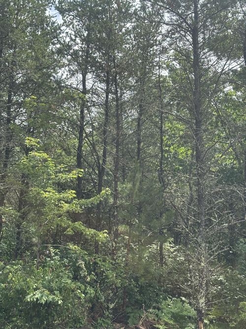 lot-5-rns-NEAR Cth Y S, Tomahawk, WI, 54487 | Card Image
