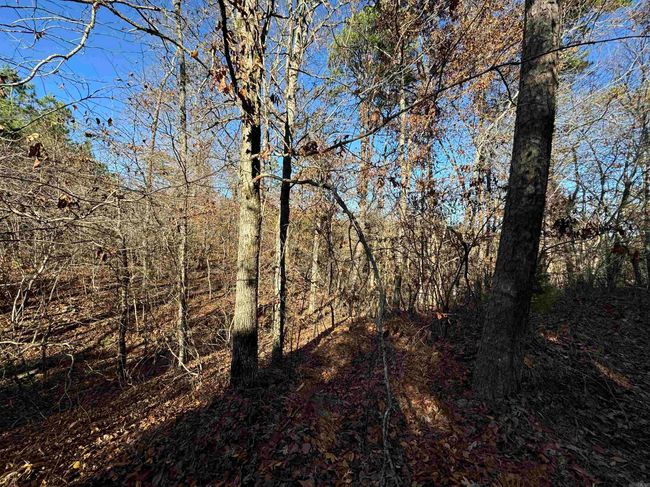 00 Calico Rd, Home with 0 bedrooms, 0 bathrooms and null parking in Clinton AR | Image 34