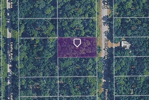 442 Fletcher Ave, LAKE PLACID, FL, 33852 | Card Image