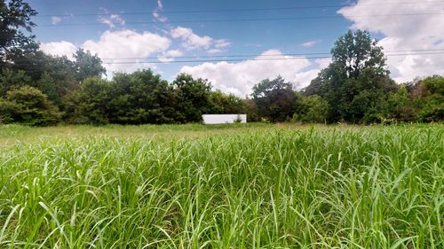 15608 South Rd, Cadiz, KY, 42211 | Card Image