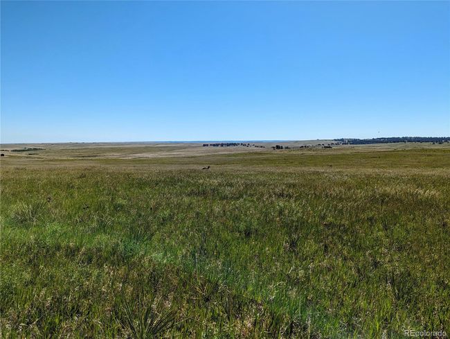 4 County Road 142, Home with 0 bedrooms, 0 bathrooms and null parking in Kiowa CO | Image 16