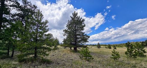 TBD Lot 156 Crystal Falls Dr, Westcliffe, CO, 81252 | Card Image