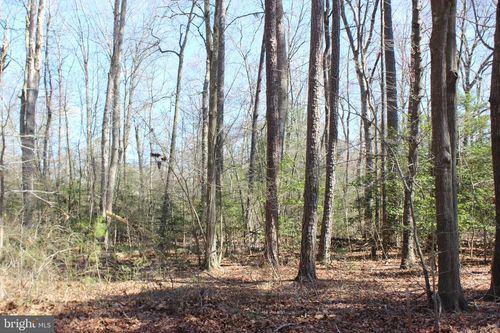 7 Brigantine Blvd, GREENBACKVILLE, VA, 23356 | Card Image