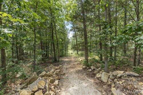 0 Dodson, De Soto, MO, 63020 | Card Image