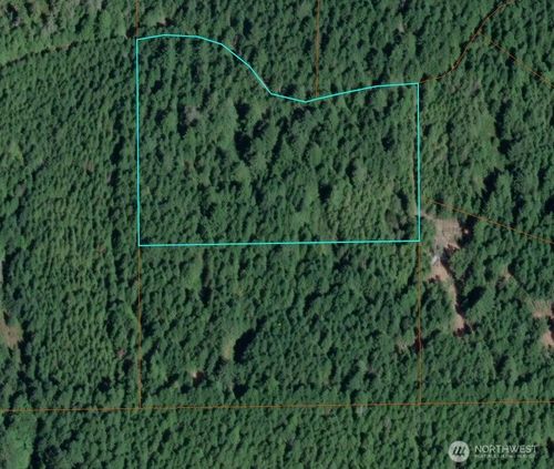 1741 Ne Hohobas Dr, Tahuya, WA, 98588 | Card Image