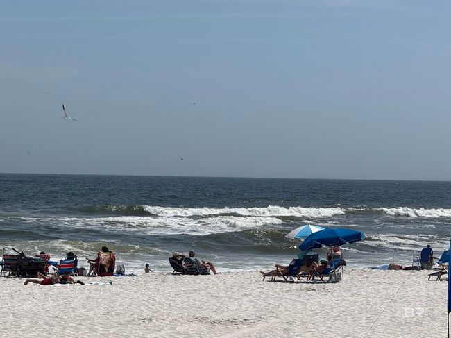 APT-115 - 24400 Perdido Beach Blvd, Condo with 2 bedrooms, 2 bathrooms and null parking in Orange Beach AL | Image 25