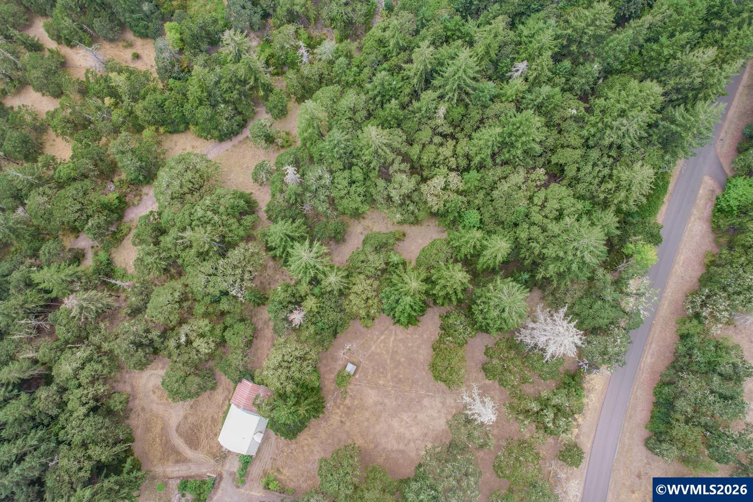 Land in Brownsville 2