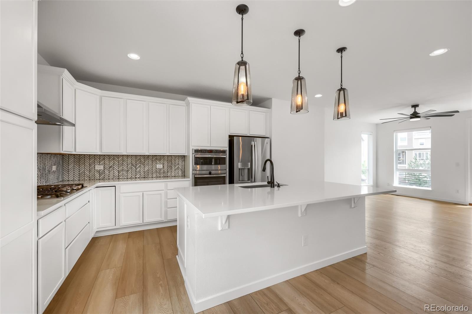 Residential in Castle Rock 3