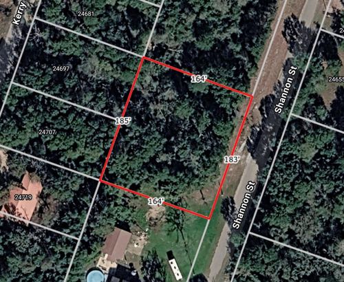 Lot 35 Shannon St, Hempstead, TX, 77445 | Card Image
