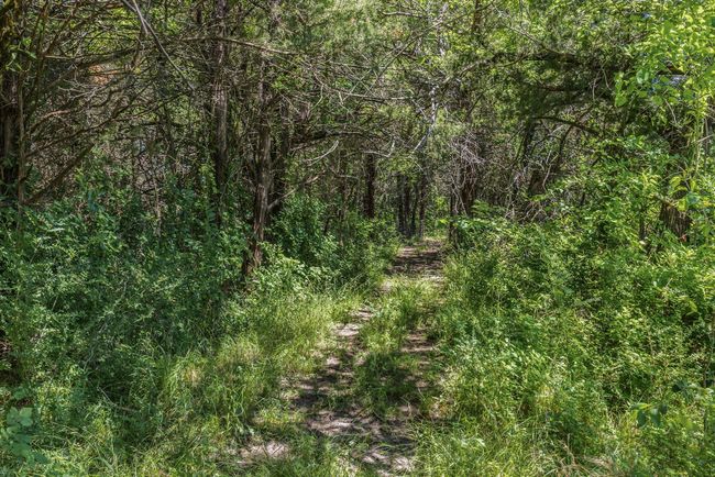 Trails | Image 21