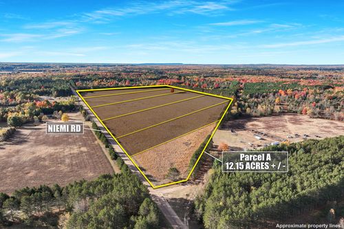 parcel-a-0 V/L 12.15 Acres Niemi Road, Kaleva, MI, 49645 | Card Image