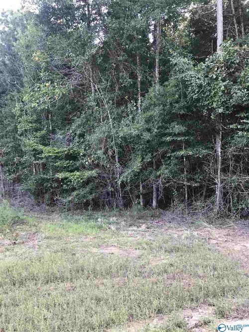 lot 30 County Road 279, Moulton, AL, 35650-9515 | Card Image