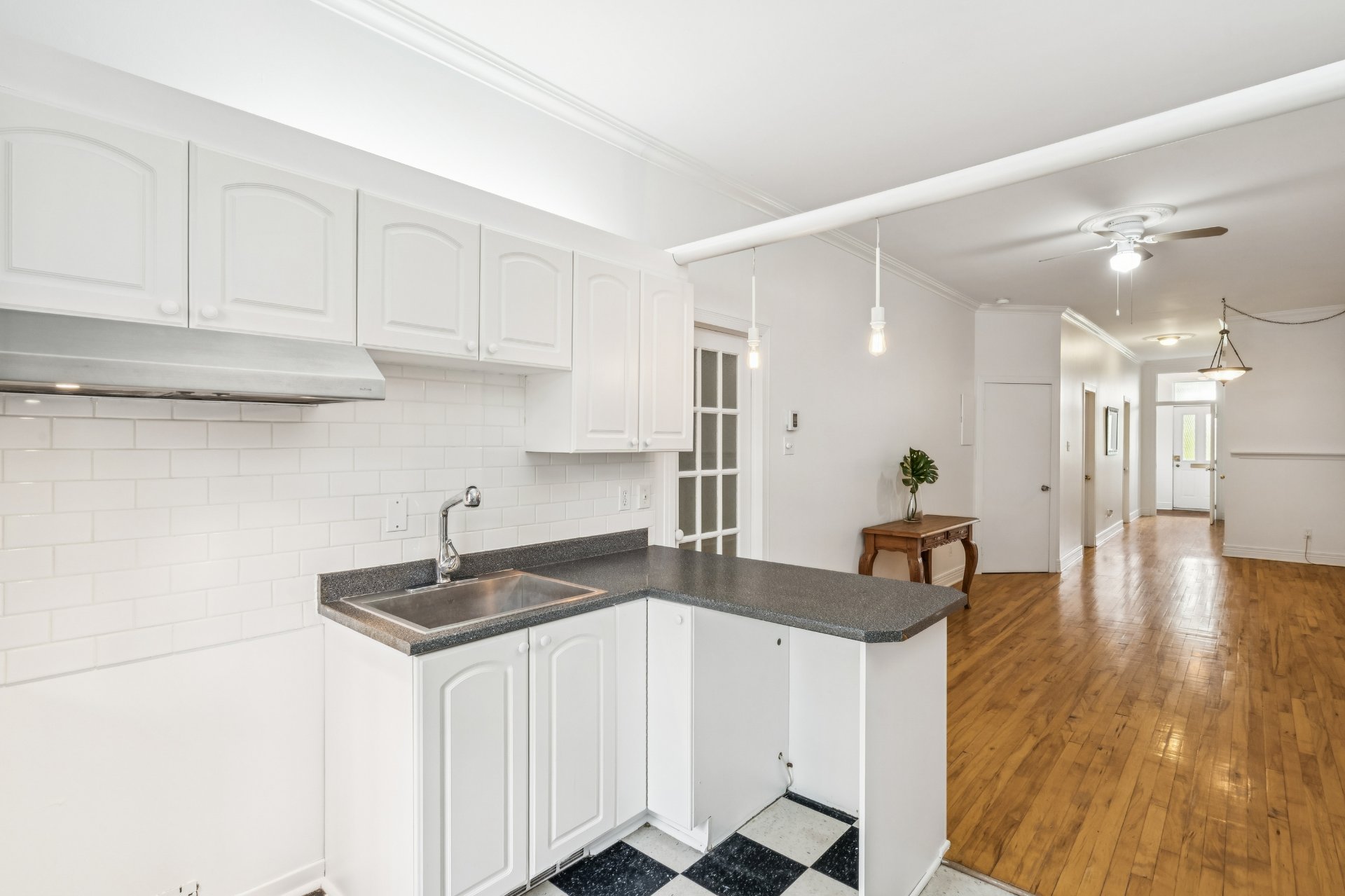 Residential in Montréal (Rosemont/La Petite-Patrie) 2