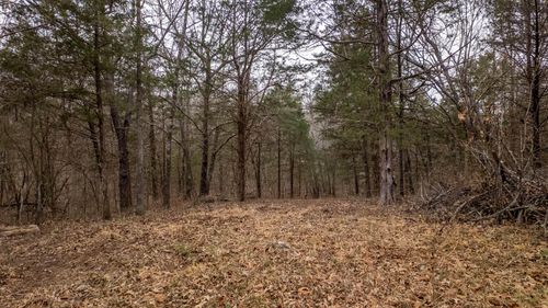 000 Walnut St, Thayer, MO, 65791 | Card Image