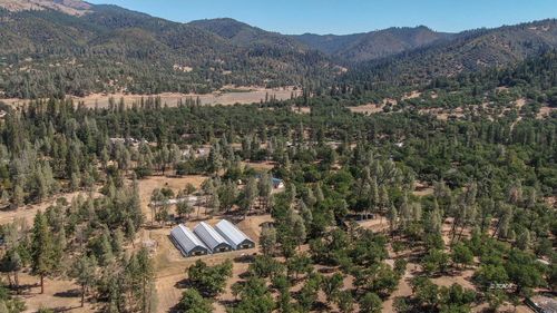 324 Frog Pond Ln, Hayfork, CA, 96041 | Card Image