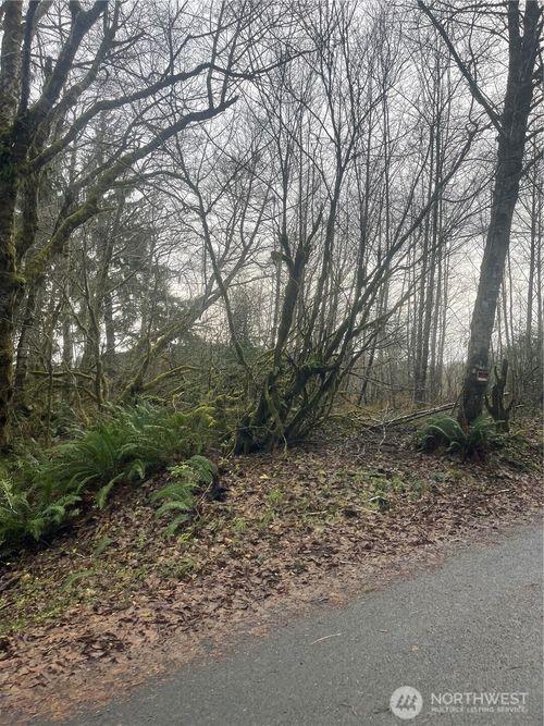 0 X Ward Creek Rd, Raymond, WA, 98577 | Card Image
