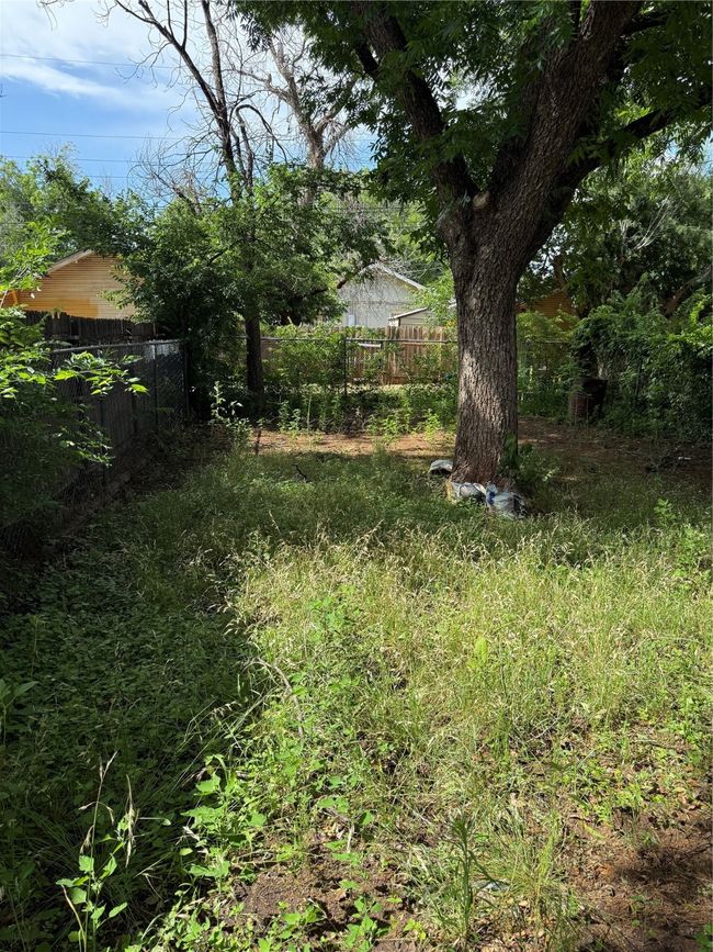 View of yard | Image 13