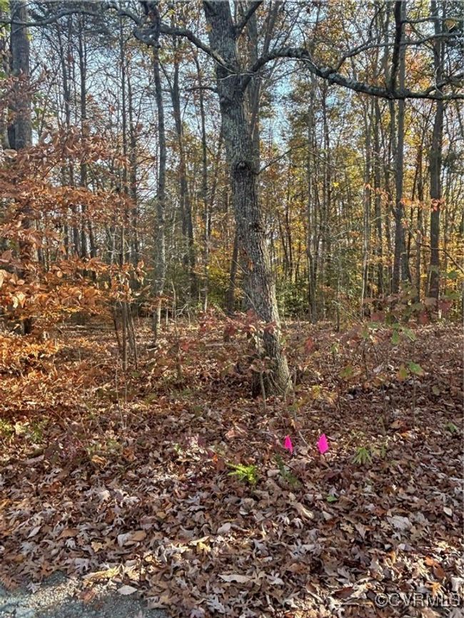 0 Broad Street Rd, Home with 0 bedrooms, 0 bathrooms and null parking in Gum Spring VA | Image 4
