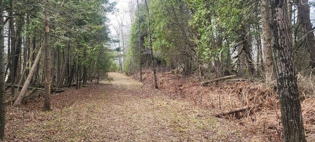 Lt0 E State Highway M35, Home with 0 bedrooms, 0 bathrooms and null parking in INGALLSTON MI | Image 15