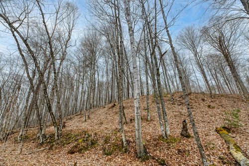 lot-8-Off Johnson Ln, Winchester, WI, 54557 | Card Image