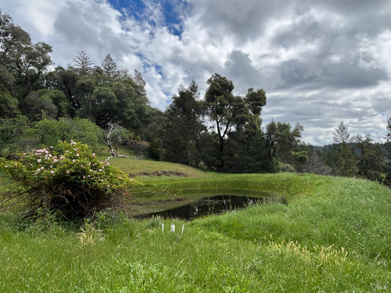 Land in Redwood Valley 3