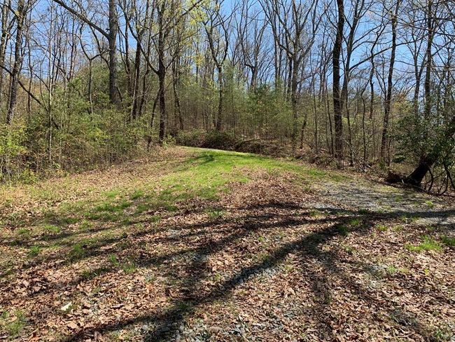 91 - 43 Old Burnt Mountain Rd, Home with 0 bedrooms, 0 bathrooms and null parking in Ellijay GA | Image 15