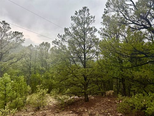 1 N Main St, Pecos, NM, 87552-8008 | Card Image