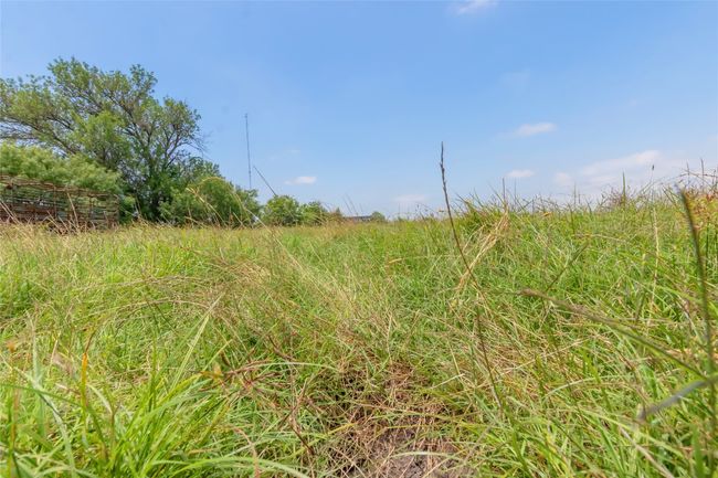 View of undeveloped land | Image 6
