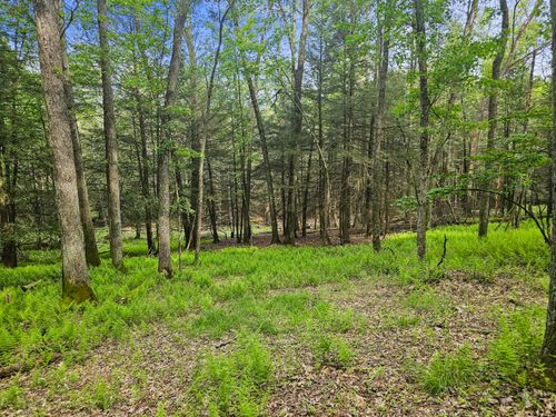 0 Camp Rd, Clearfield, PA, 16830 | Card Image