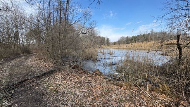 0 County Rd 575 S 1600 W, Home with 0 bedrooms, 0 bathrooms and null parking in Sandborn IN | Image 25