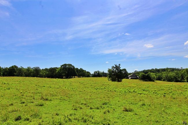 0 Storey Rd, Home with 0 bedrooms, 0 bathrooms and null parking in Concord VA | Image 18