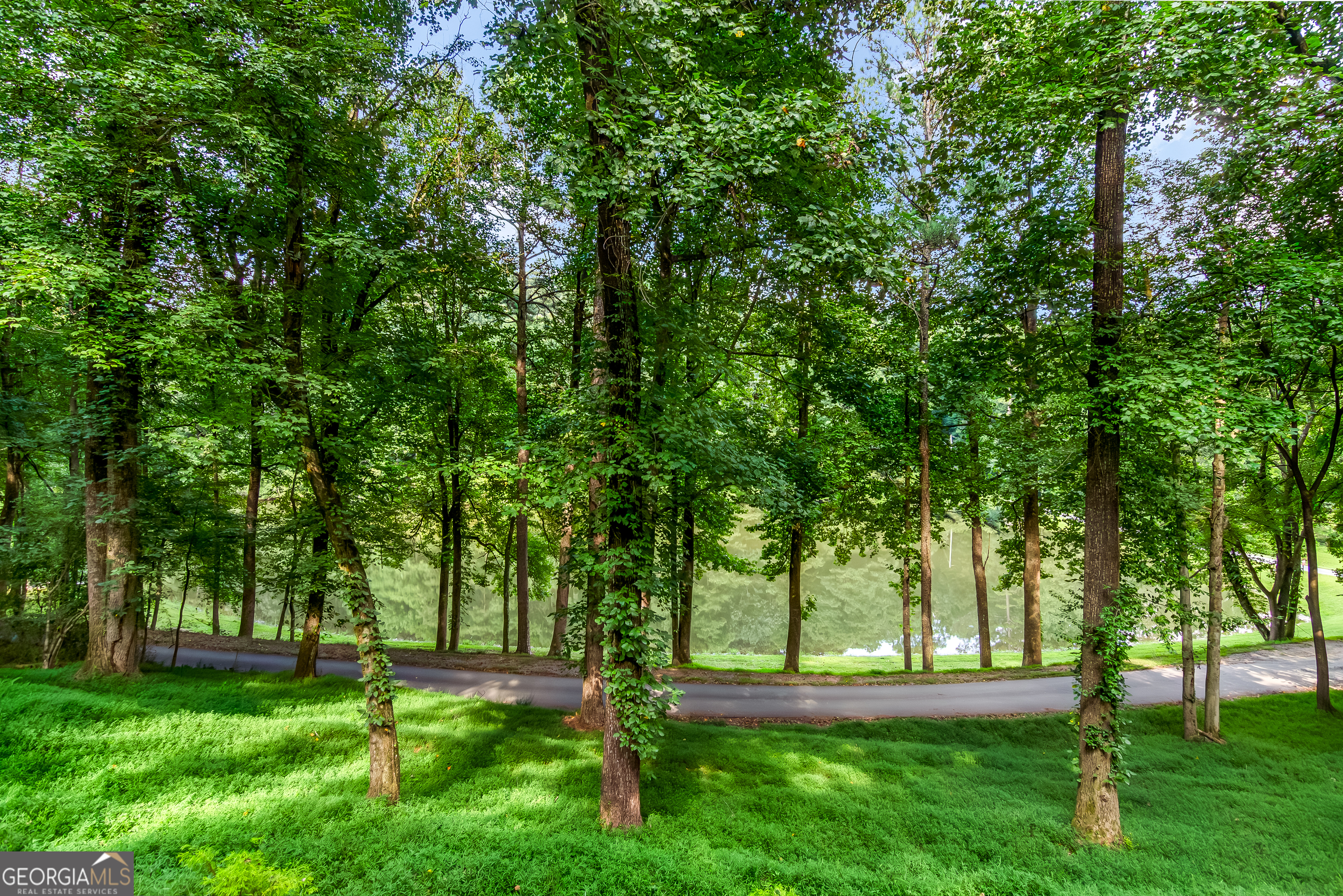 Residential in Ellijay 3