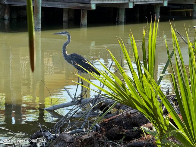 So much to see! | Image 95