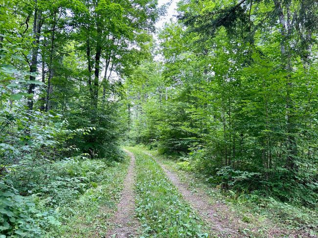 333-ACRES - ON Double Bend Rd, House other with 2 bedrooms, 1 bathrooms and null parking in Argonne WI | Image 25