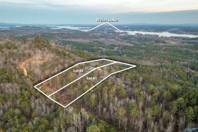 LOT 81 Mauney Lane, Home with 0 bedrooms, 0 bathrooms and null parking in Leesburg AL | Image 7