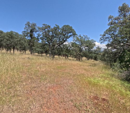 0 Hazen Road, Manton, CA, 96059 | Card Image