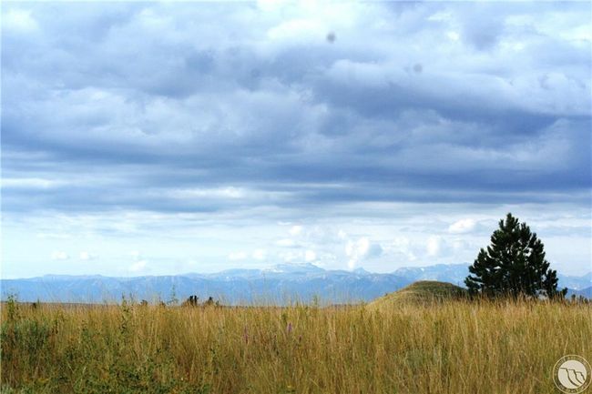 Lot 135 Granite Peak Rd, Home with 0 bedrooms, 0 bathrooms and null parking in Columbus MT | Image 7
