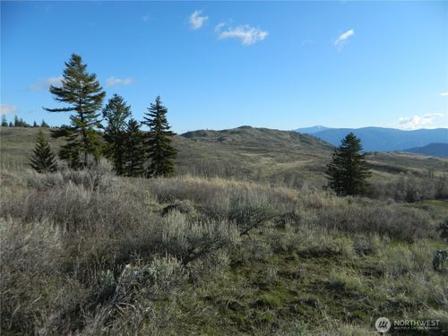 0 Tbd Ellemeham Ridge Road, Tonasket, WA, 98855 | Card Image