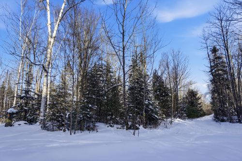 82006 Town Farm Road, Lincoln, ME, 04457 | Card Image