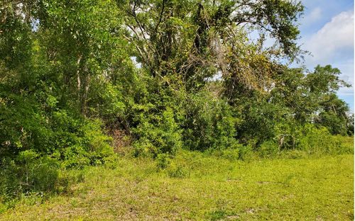 TBD Sw 31st St, Jasper, FL, 32052 | Card Image