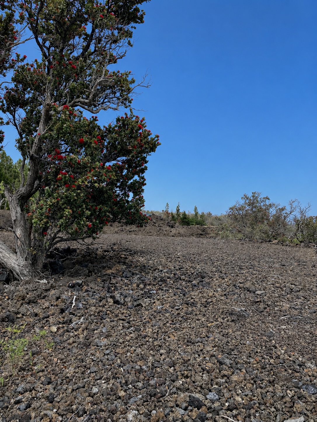Land in Ocean View 2