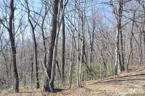 41-TBD Mountain Crest Drive S, Marion, NC, 28752 | Card Image