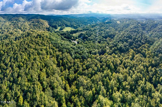 306 Bear Branch Rd, Home with 0 bedrooms, 0 bathrooms and null parking in Roan Mountain TN | Image 20