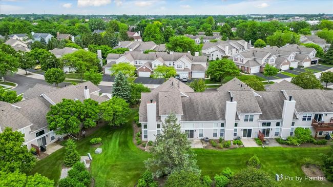 Nestled Among the Trees | Image 28