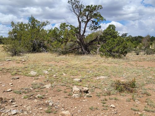 137 E Jackpine Ln, Williams, AZ, 86046 | Card Image