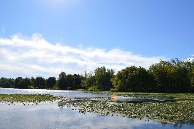 Painter Lake | Image 49