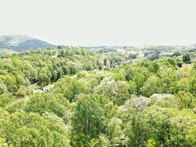 481 Clinch Dr, House other with 2 bedrooms, 1 bathrooms and null parking in Pounding Mill VA | Image 51