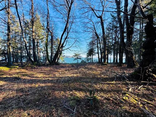 1296 Greenleaf Lane, Sidney Island, BC, V0N2G0 | Card Image